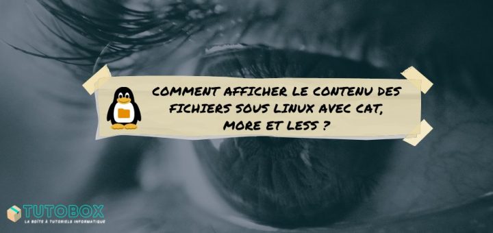 Comandos Linux cat, más y menos