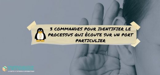 3 comandos para identificar el proceso que escucha en un puerto determinado